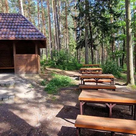 Apartament Lux Modern *