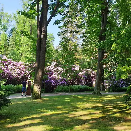 Lux Modern 波兰尼卡-兹德鲁伊