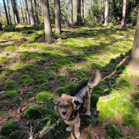 Lux Modern Polanica-Zdrój